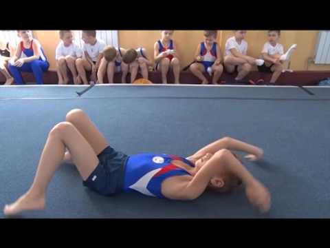Первенство по спортивной гимнастике