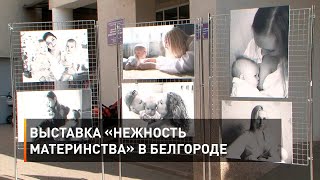 Выставка «Нежность материнства» в Белгороде