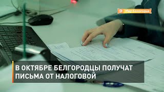 В октябре белгородцы получат письма от налоговой