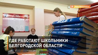 Где работают школьники Белгородской области 