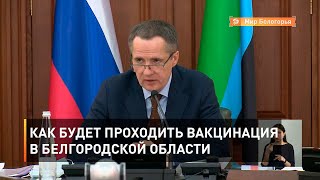 Как будет проходить вакцинация в Белгородской области