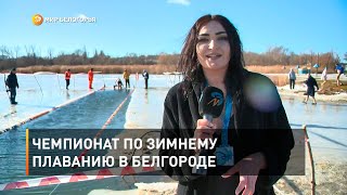 Чемпионат по зимнему плаванию в Белгороде 