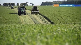 Сельхозэкспорт увеличат в полтора раза