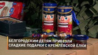 Белгородским детям привезли сладкие подарки с Кремлёвской ёлки