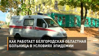 Как работает белгородская областная больница в условиях эпидемии