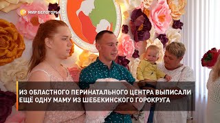 Из областного перинатального центра выписали ещё одну маму из Шебекинского горокруга