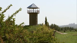 В ботаническом саду БелГУ скоро соберут урожай