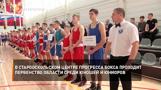 В старооскольском Центре прогресса бокса проходит Первенство области среди юношей и юниоров