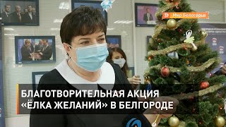 Благотворительная акция «Ёлка желаний» в Белгороде