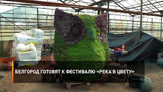 Белгород готовят к фестивалю «Река в цвету»