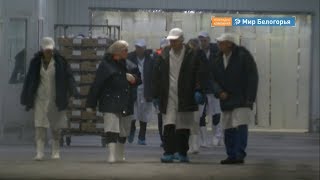 Китайцы познакомились с белгородскими агрохолдингами