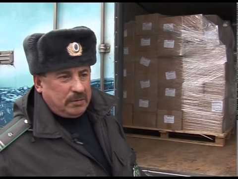 Зачем на границах дежурит Россельхознадзор