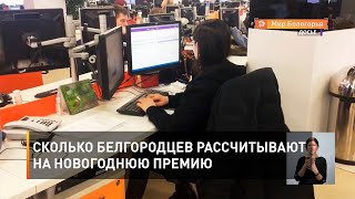 Сколько белгородцев рассчитывают на новогоднюю премию