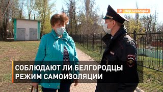 Соблюдают ли белгородцы режим самоизоляции