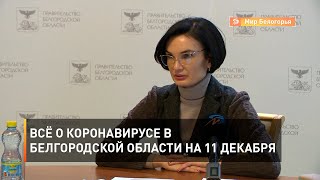 Всё о коронавирусе в Белгородской области на 11 декабря