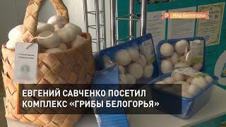 Евгений Савченко посетил комплекс «Грибы Белогорья»