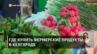Где купить фермерские продукты в Белгороде