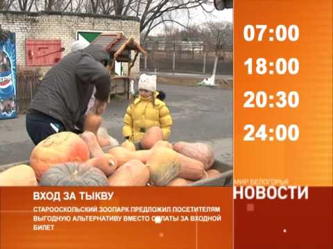 Смотрите на «Мире Белогорья» сегодня, 18 ноября