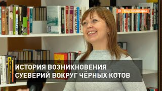 История возникновения суеверий вокруг чёрных котов