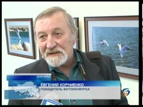 Подведены итоги городского фотоконкурса