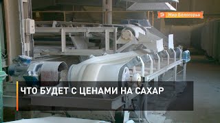 Что будет с ценами на сахар