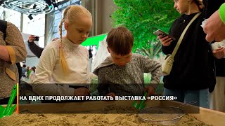 На ВДНХ продолжает работать выставка «Россия»