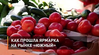 Как прошла ярмарка на рынке «Южный»