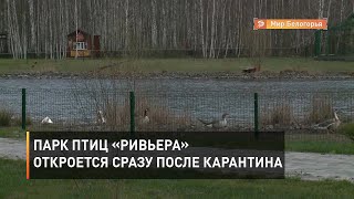 Парк птиц «Ривьера» откроется сразу после карантина