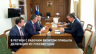 В регион с рабочим визитом прибыла делегация из Узбекистана