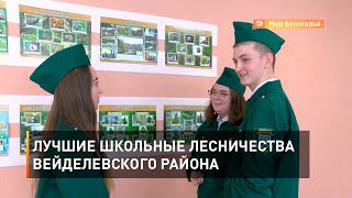 Лучшие школьные лесничества Вейделевского района