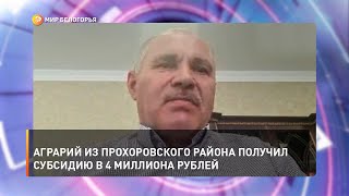 Аграрий из Прохоровского района получил субсидию в 4 миллиона рублей
