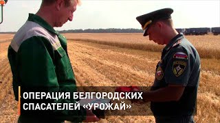 Операция белгородских спасателей «Урожай»