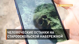 Человеческие останки на старооскольской набережной 