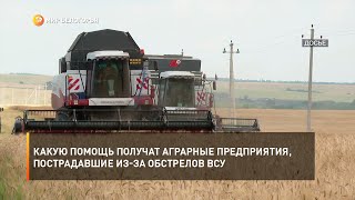 Какую помощь получат аграрные предприятия, пострадавшие из-за обстрелов ВСУ