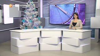 «Такой день». Белгородские новости (выпуск 22.12.22)