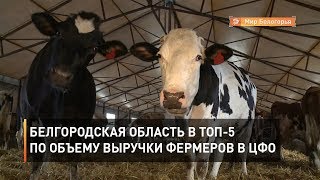 Белгородская область в топ-5 по объему выручки фермеров в ЦФО 