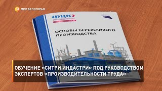 Обучение «СиТри Индастри» под руководством экспертов «Производительности труда»