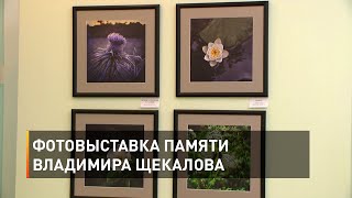 Фотовыставка памяти Владимира Щекалова 