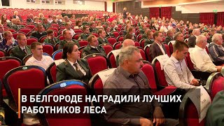 В Белгороде наградили лучших работников леса