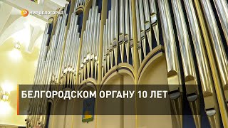 Белгородском органу 10 лет
