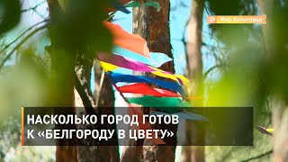 Насколько город готов к «Белгороду в цвету»