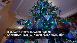 В области стартовала ежегодная благотворительная акция «Ёлка желаний»