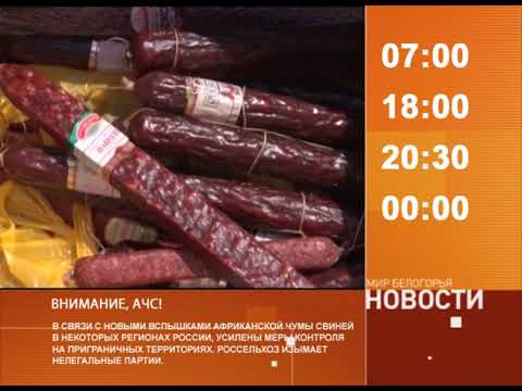 Смотрите на «Мире Белогорья» сегодня, 23 августа