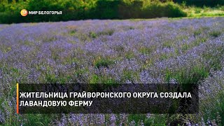 Жительница Грайворонского округа создала лавандовую ферму