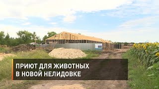 Приют для животных в Новой Нелидовке