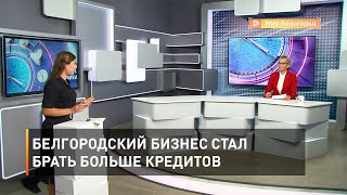 Белгородский бизнес стал брать больше кредитов