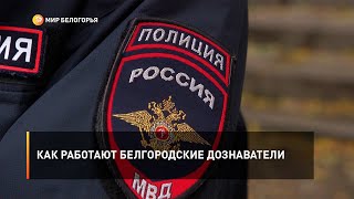 Как работают белгородские дознаватели