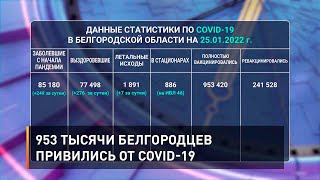 953 тысячи белгородцев привились от COVID-19