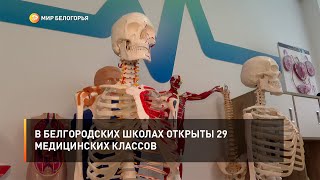 В белгородских школах открыты 29 медицинских классов