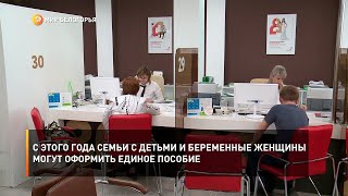 С этого года семьи с детьми и беременные женщины могут оформить единое пособие